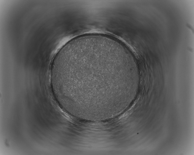 X0000096671367200802191320