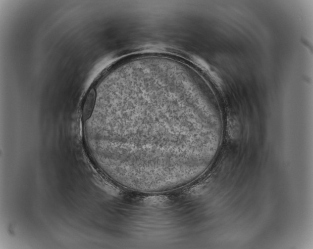 X0000096671368200802191320
