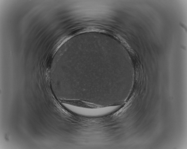 X0000096671369200802191320
