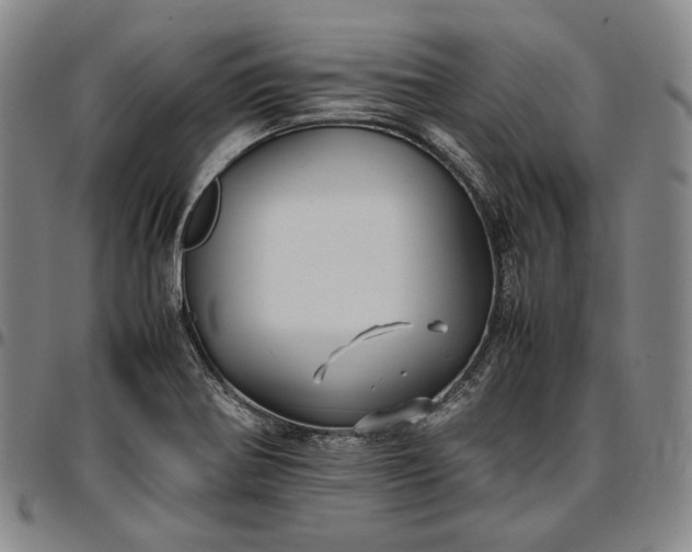 X0000096671370200802191320