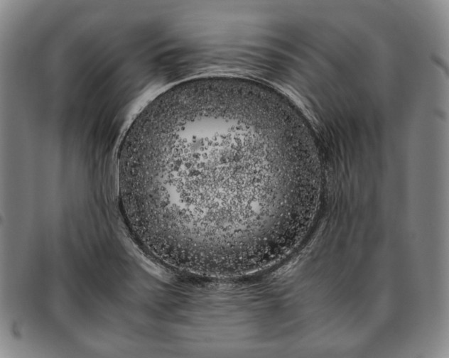 X0000096671371200802191320