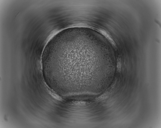 X0000096671372200802191320