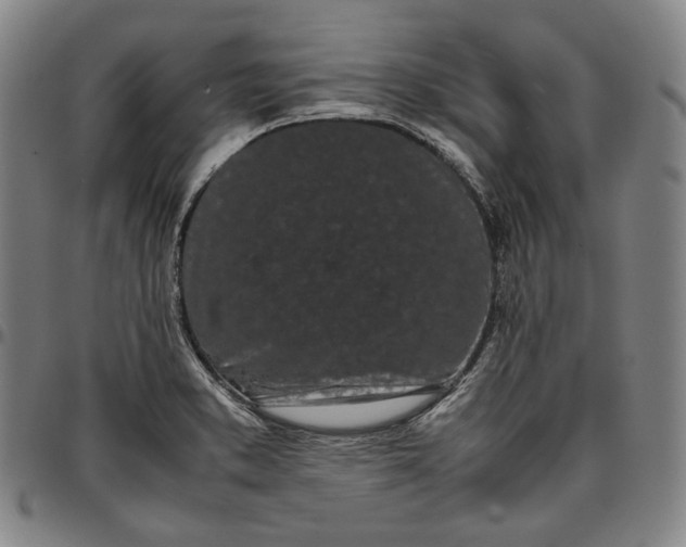 X0000096671373200802191320