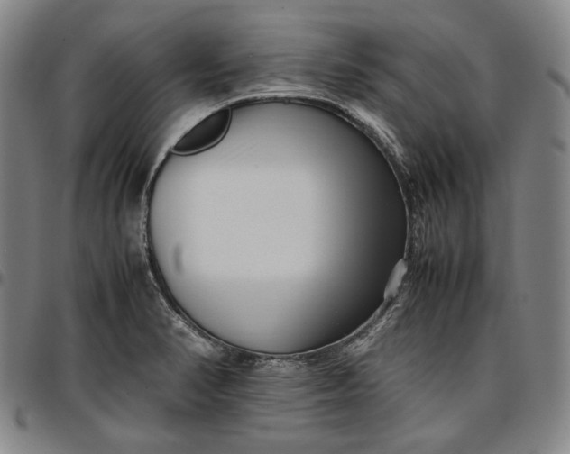 X0000096671374200802191320
