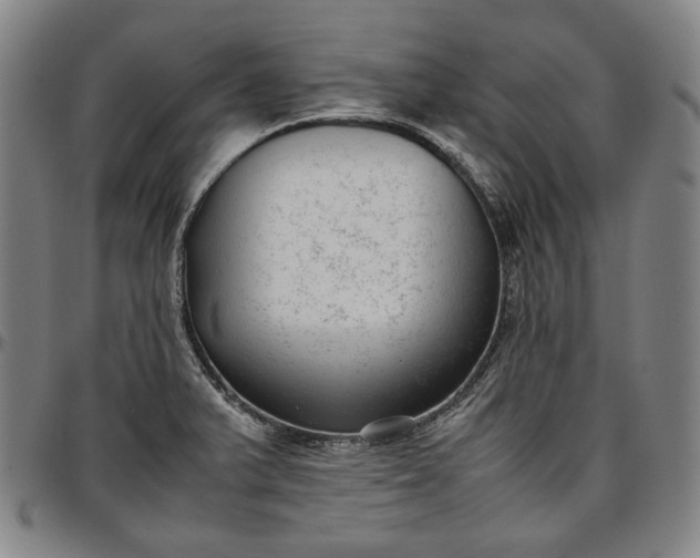X0000096671375200802191320