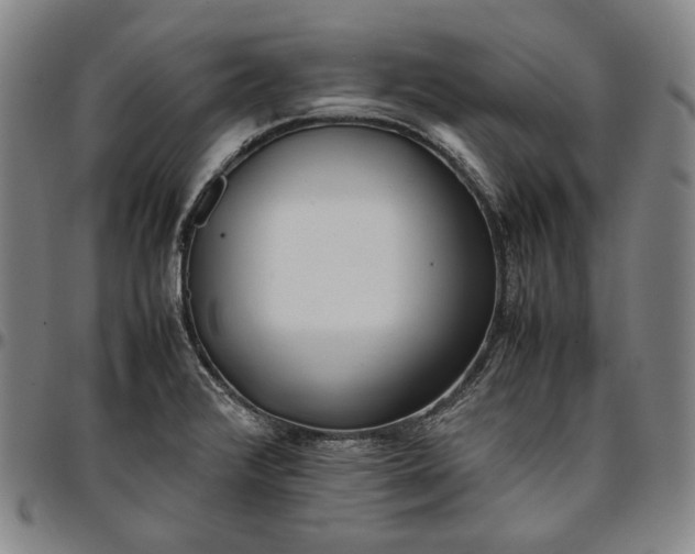X0000096671376200802191320