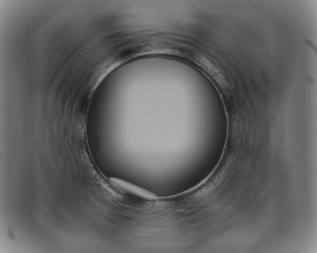 X0000096671377200802191320