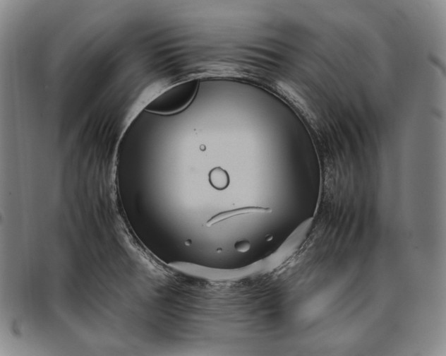 X0000096671378200802191320