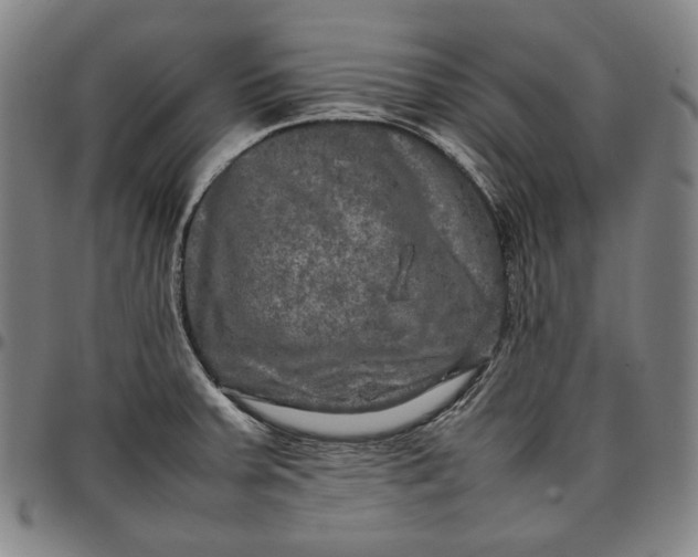 X0000096671379200802191320