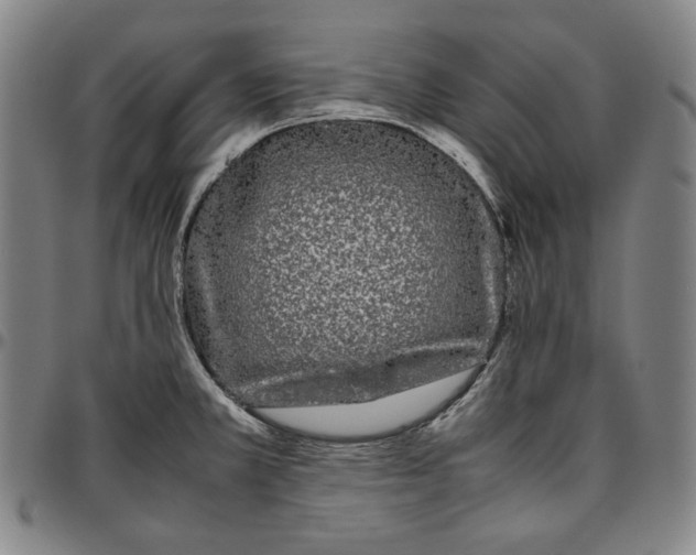 X0000096671381200802191320