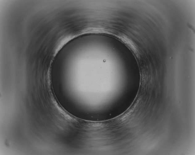 X0000096671382200802191320