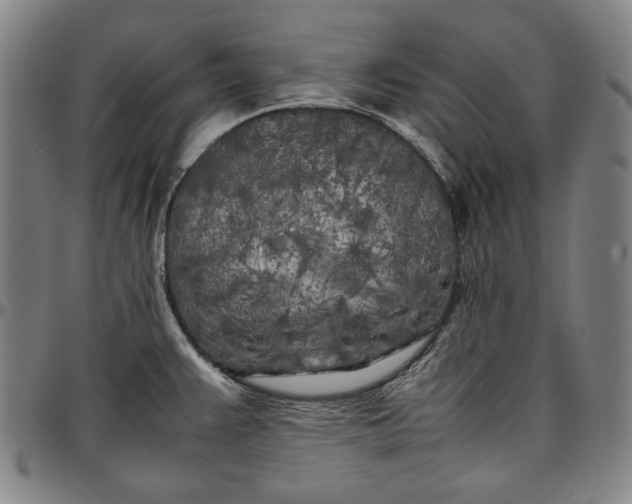 X0000096671383200802191320