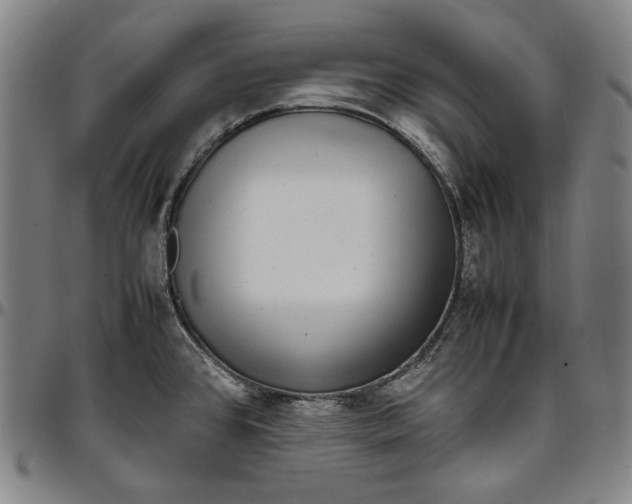 X0000096671384200802191320