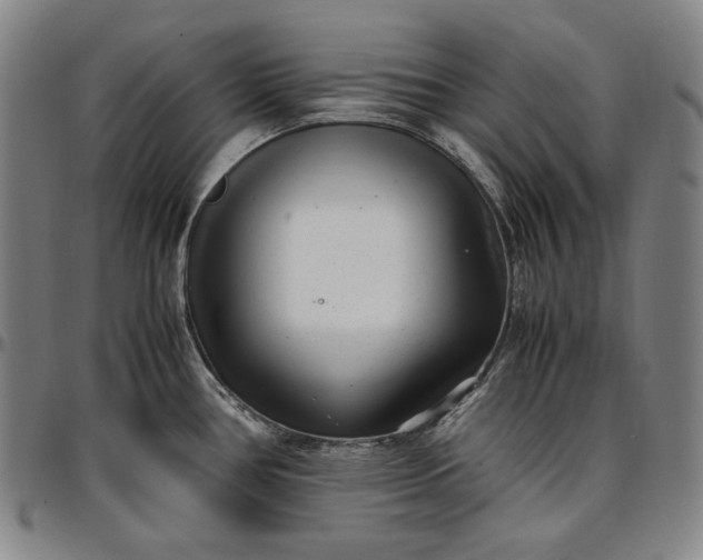 X0000096671386200802191320