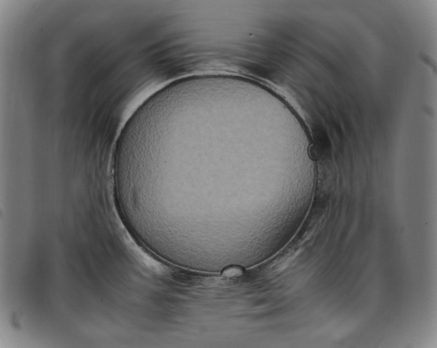X0000096671387200802191320
