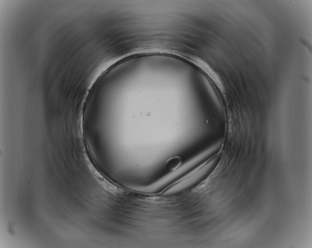 X0000096671388200802191320