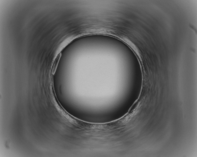 X0000096671389200802191320