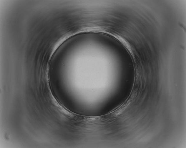 X0000096671390200802191320