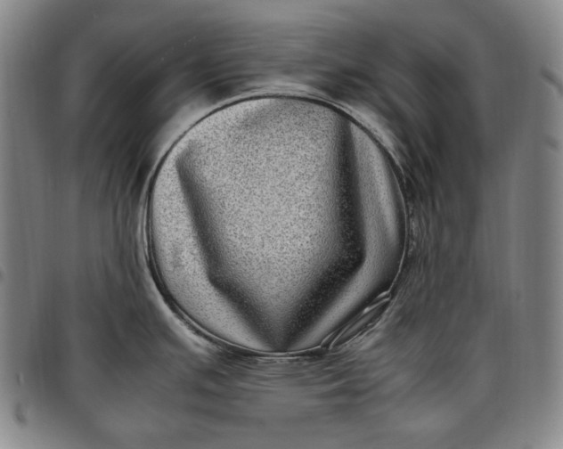 X0000096671391200802191320