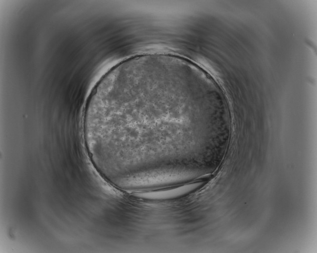 X0000096671392200802191320