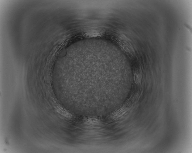 X0000096671393200802191319