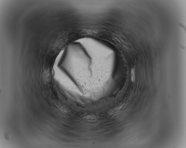 X0000096671395200802191319
