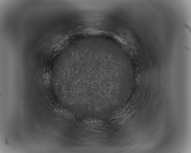 X0000096671397200802191319