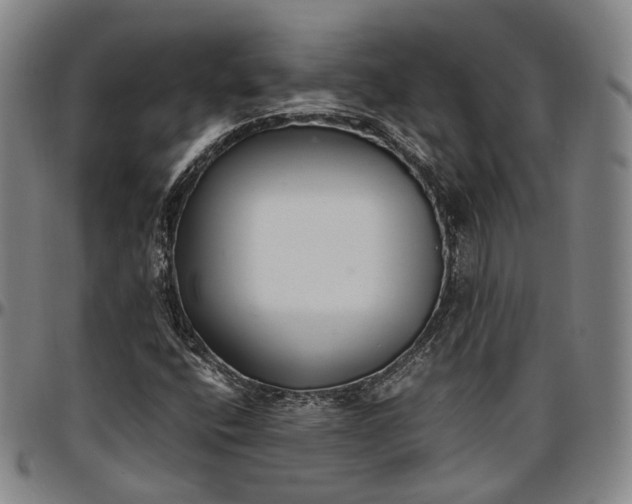 X0000096671400200802191319