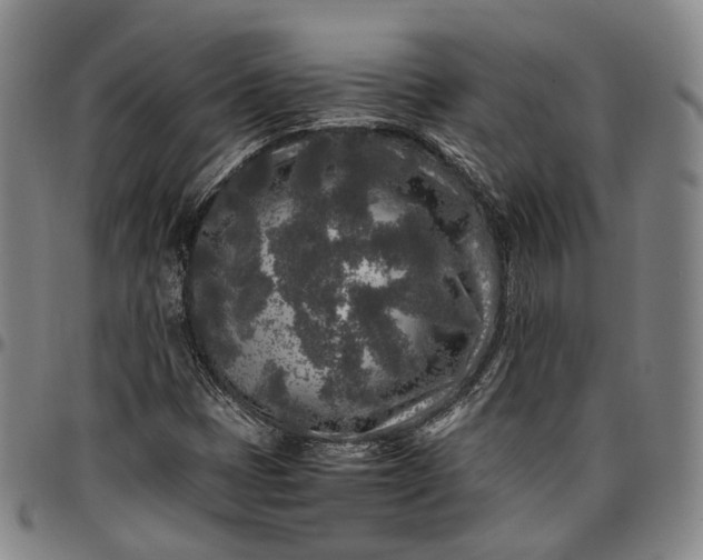 X0000096671401200802191319