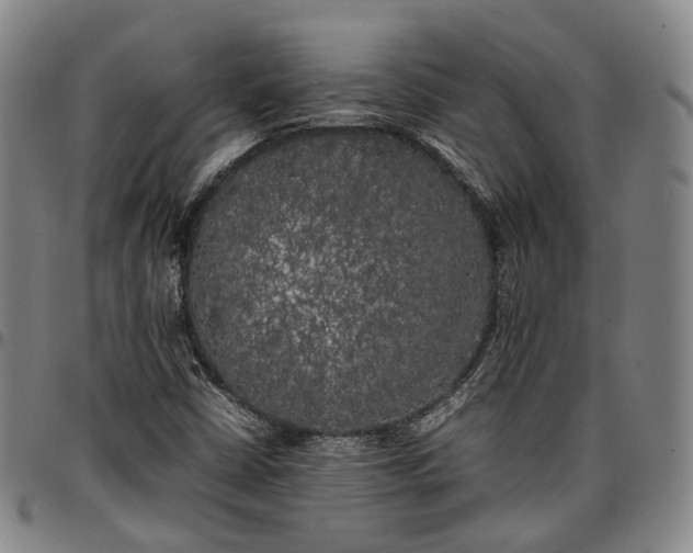 X0000096671402200802191319