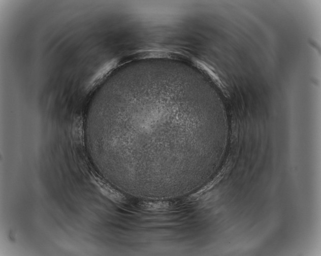 X0000096671403200802191319