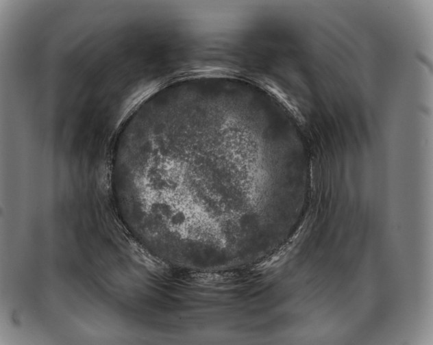 X0000096671405200802191319