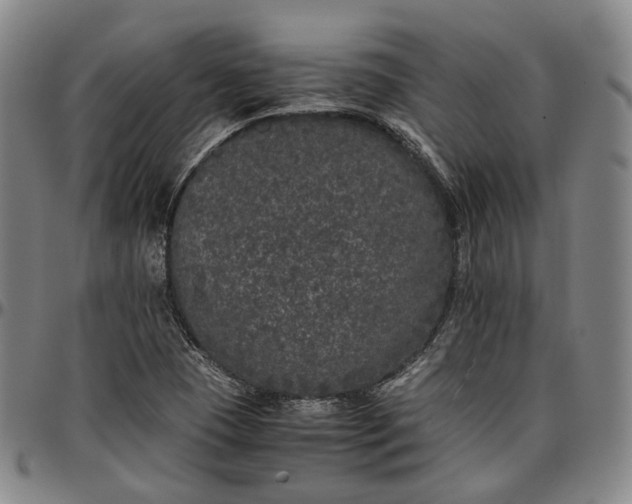 X0000096671409200802191319