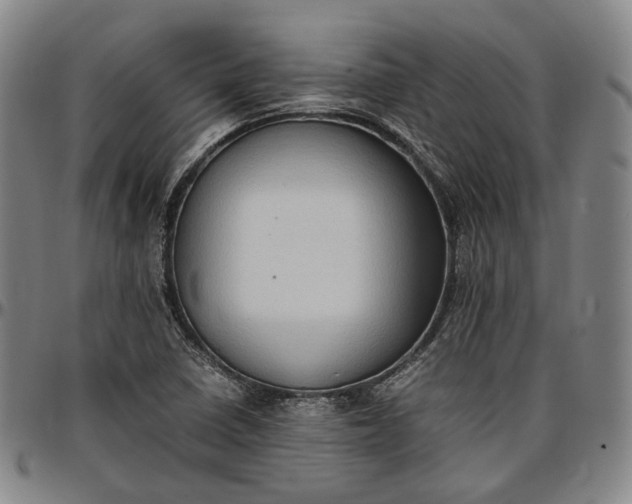 X0000096671410200802191319