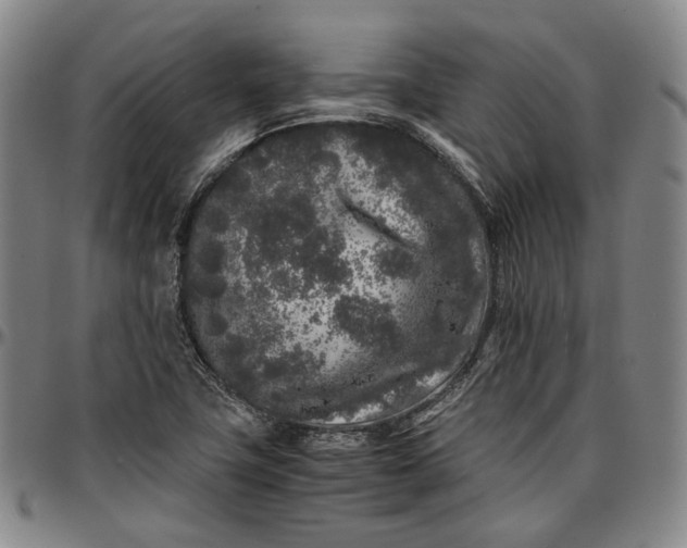 X0000096671411200802191319