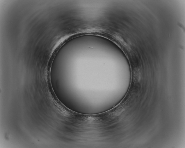 X0000096671412200802191319