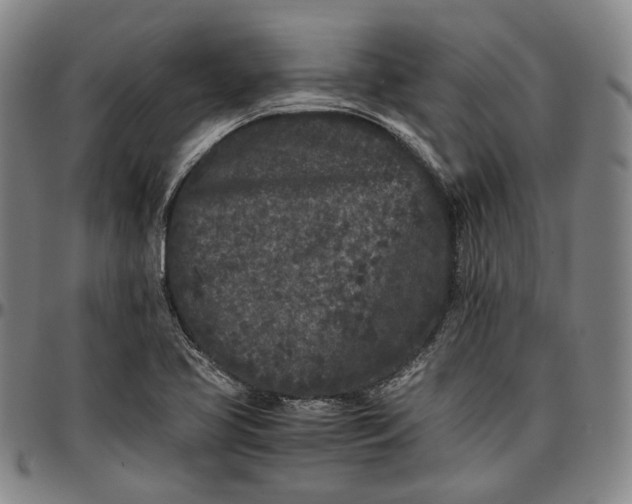 X0000096671413200802191319