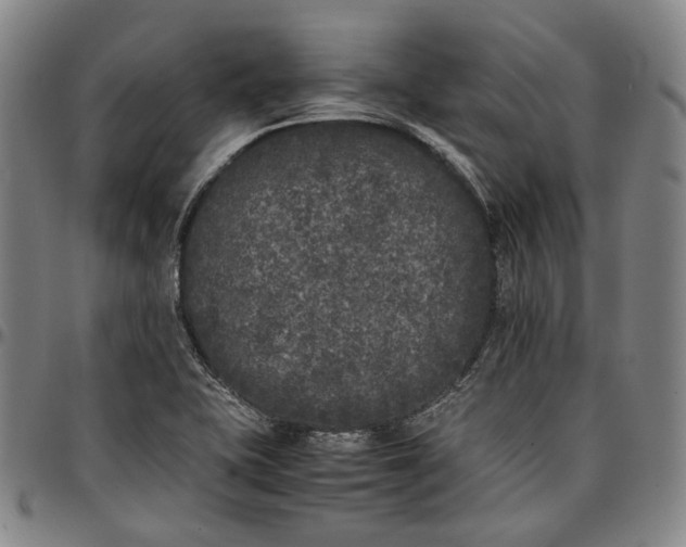 X0000096671415200802191319