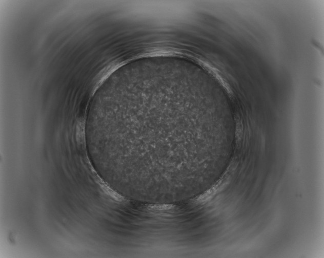 X0000096671417200802191319