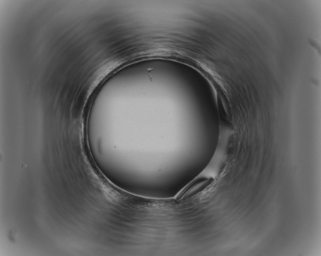 X0000096671418200802191319