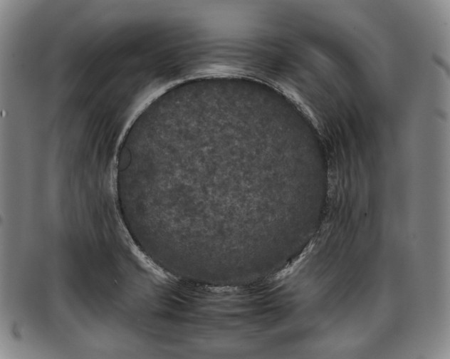 X0000096671421200802191319