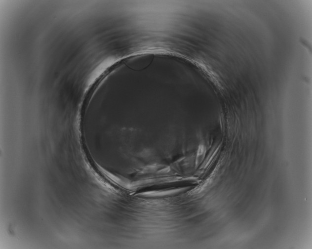 X0000096671422200802191319