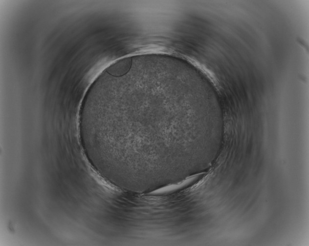 X0000096671423200802191319
