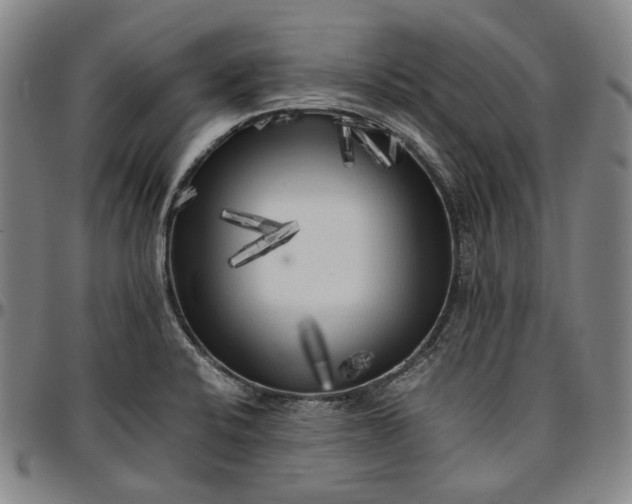 X0000096671424200802191319
