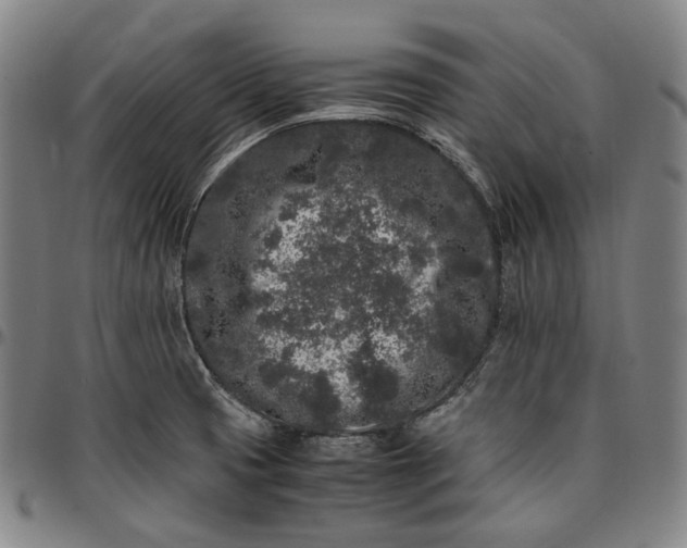 X0000096671425200802191319