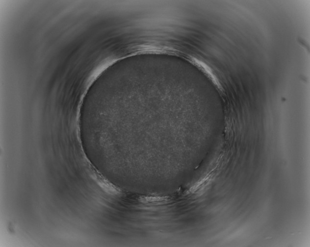 X0000096671427200802191319