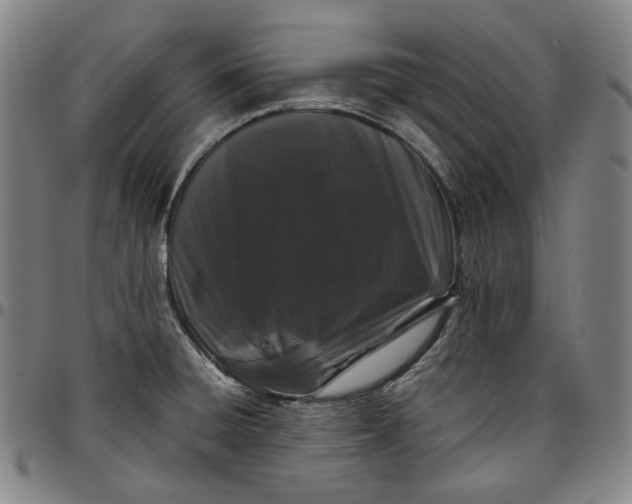 X0000096671428200802191319
