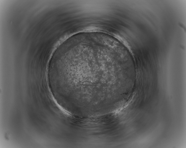 X0000096671429200802191319