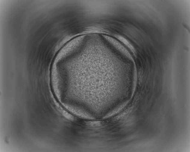 X0000096671431200802191319