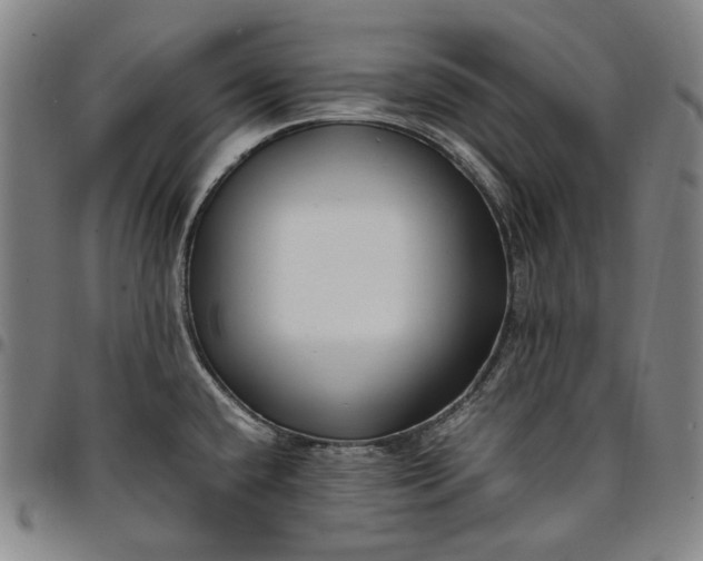 X0000096671432200802191319
